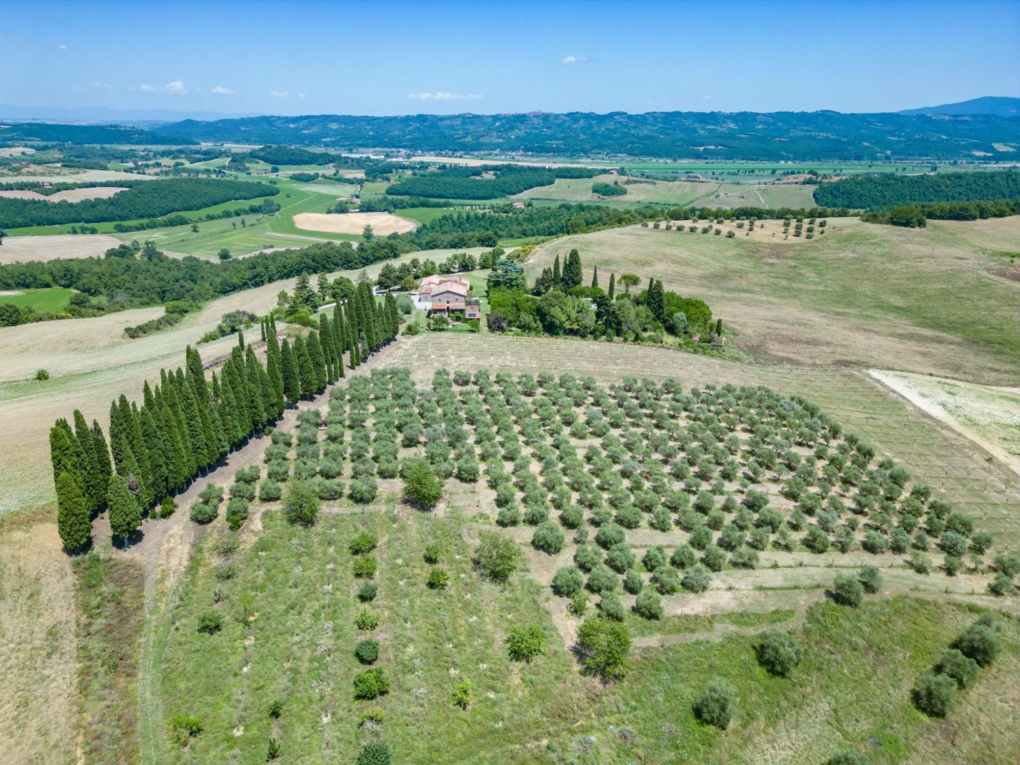 Agriturismo Spazzavento Palazzone Екстер'єр фото